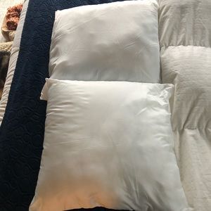 Pillow insert pair
